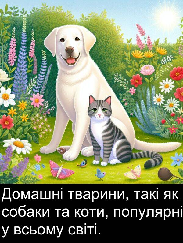 світі: Домашні тварини, такі як собаки та коти, популярні у всьому світі.