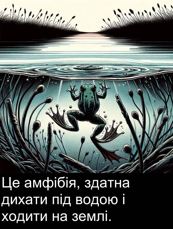 під: Це амфібія, здатна дихати під водою і ходити на землі.