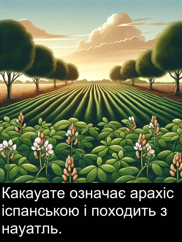 арахіс: Какауате означає арахіс іспанською і походить з науатль.