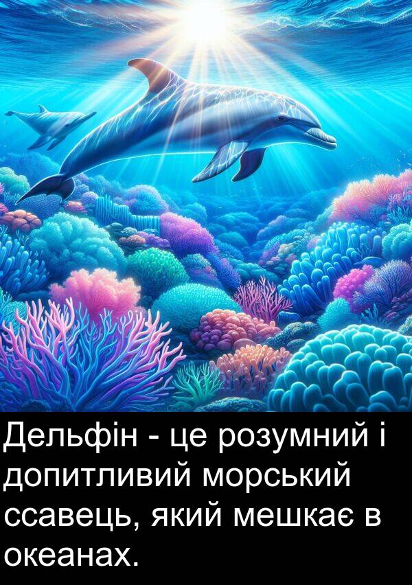 океанах: Дельфін - це розумний і допитливий морський ссавець, який мешкає в океанах.