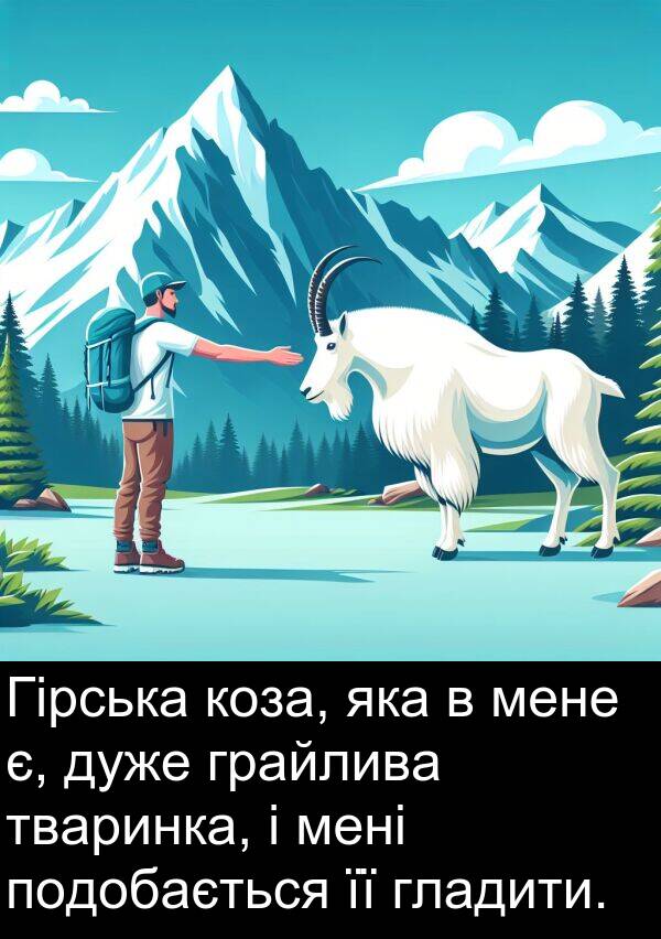 тваринка: Гірська коза, яка в мене є, дуже грайлива тваринка, і мені подобається її гладити.