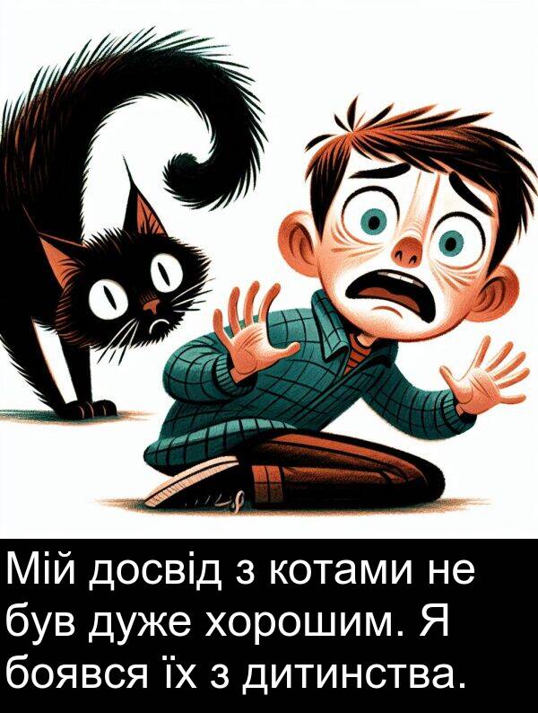 хорошим: Мій досвід з котами не був дуже хорошим. Я боявся їх з дитинства.