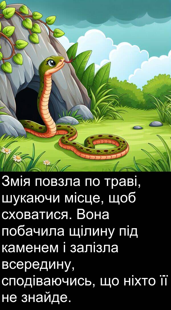 щілину: Змія повзла по траві, шукаючи місце, щоб сховатися. Вона побачила щілину під каменем і залізла всередину, сподіваючись, що ніхто її не знайде.