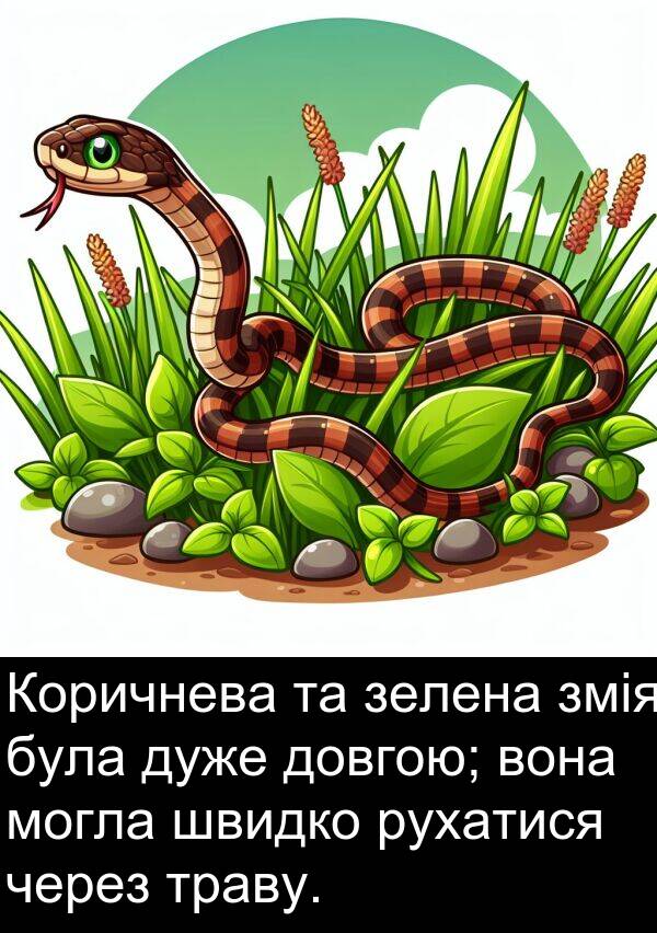 змія: Коричнева та зелена змія була дуже довгою; вона могла швидко рухатися через траву.