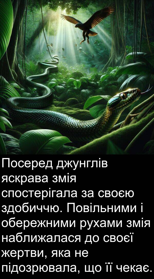 чекає: Посеред джунглів яскрава змія спостерігала за своєю здобиччю. Повільними і обережними рухами змія наближалася до своєї жертви, яка не підозрювала, що її чекає.