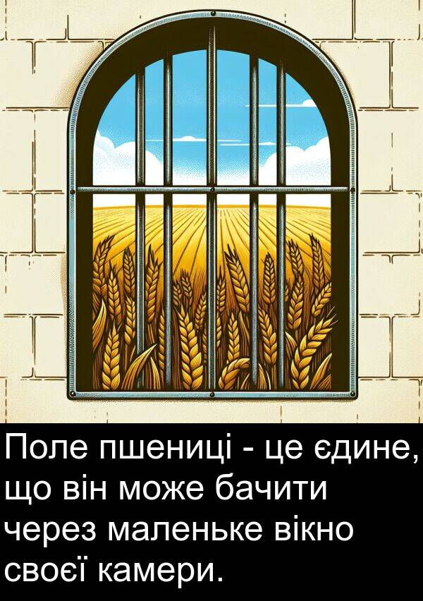 камери: Поле пшениці - це єдине, що він може бачити через маленьке вікно своєї камери.