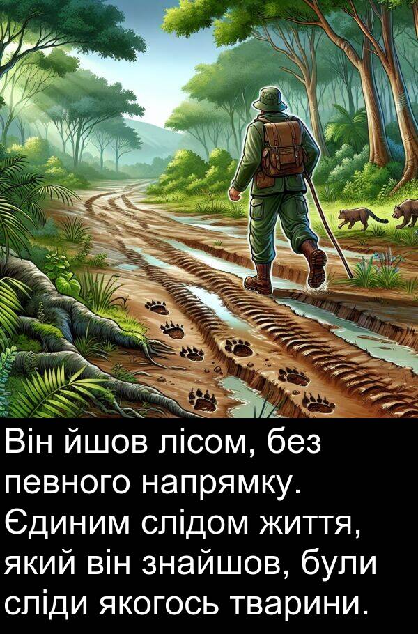 лісом: Він йшов лісом, без певного напрямку. Єдиним слідом життя, який він знайшов, були сліди якогось тварини.