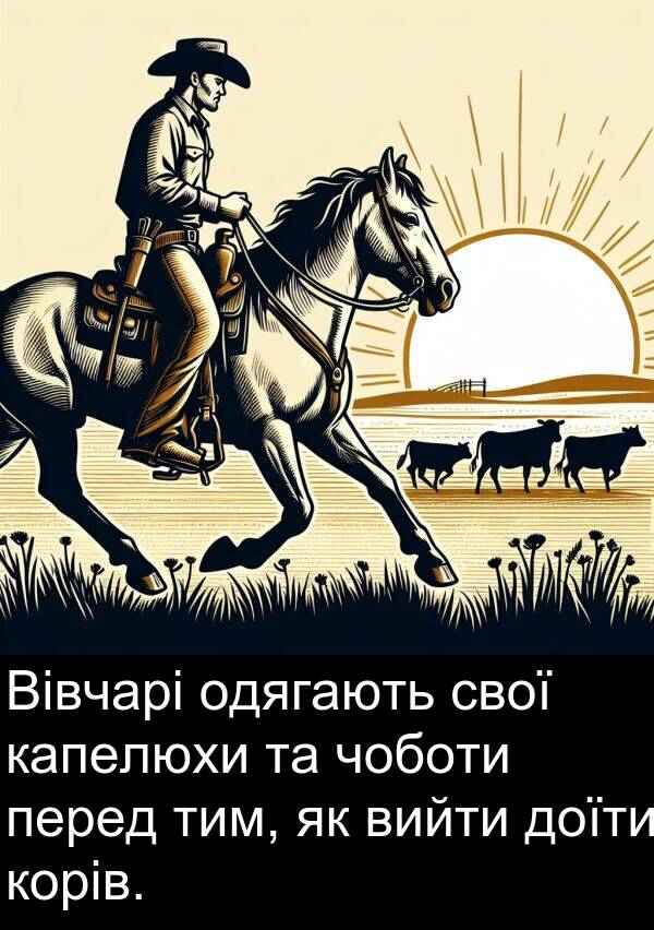 тим: Вівчарі одягають свої капелюхи та чоботи перед тим, як вийти доїти корів.