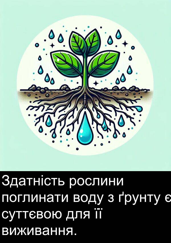рослини: Здатність рослини поглинати воду з ґрунту є суттєвою для її виживання.