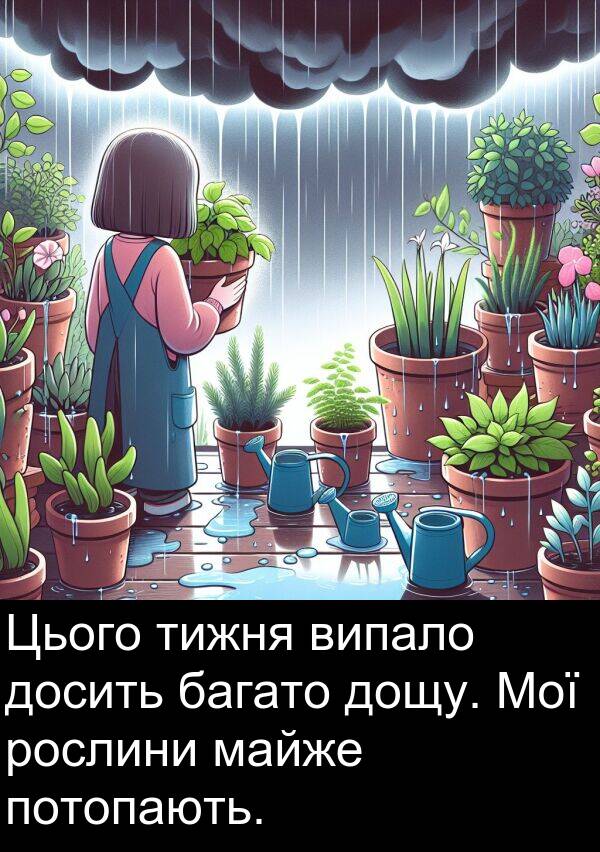 тижня: Цього тижня випало досить багато дощу. Мої рослини майже потопають.