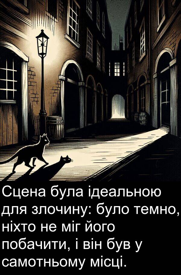 ідеальною: Сцена була ідеальною для злочину: було темно, ніхто не міг його побачити, і він був у самотньому місці.