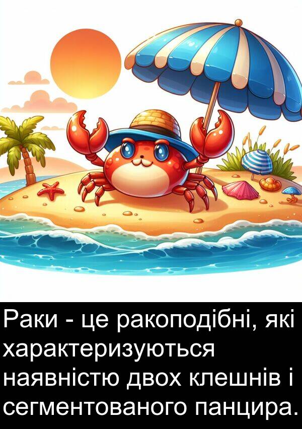 двох: Раки - це ракоподібні, які характеризуються наявністю двох клешнів і сегментованого панцира.