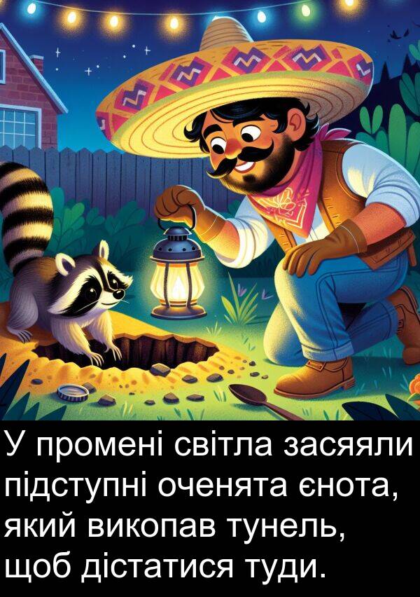єнота: У промені світла засяяли підступні оченята єнота, який викопав тунель, щоб дістатися туди.
