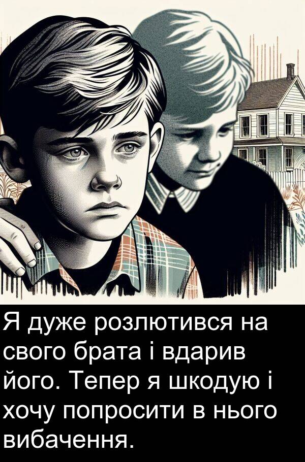 хочу: Я дуже розлютився на свого брата і вдарив його. Тепер я шкодую і хочу попросити в нього вибачення.