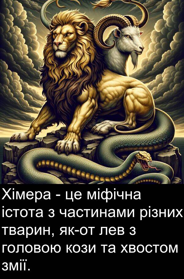 головою: Хімера - це міфічна істота з частинами різних тварин, як-от лев з головою кози та хвостом змії.