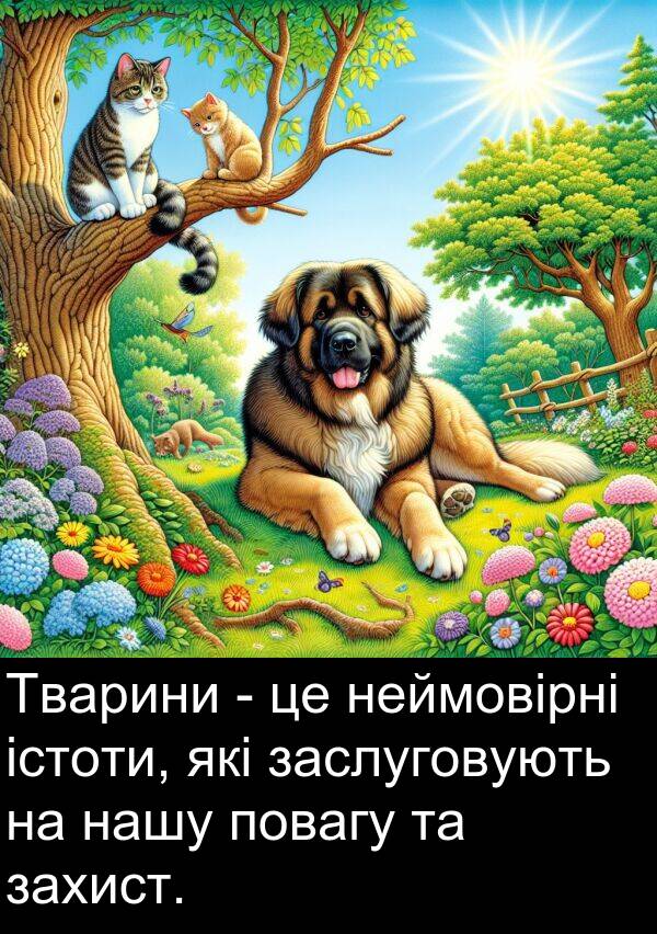 істоти: Тварини - це неймовірні істоти, які заслуговують на нашу повагу та захист.