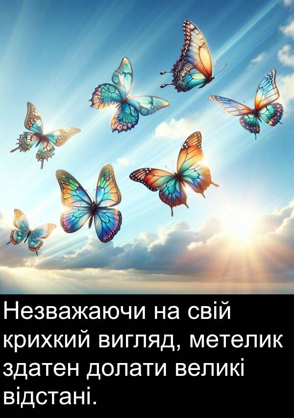 великі: Незважаючи на свій крихкий вигляд, метелик здатен долати великі відстані.
