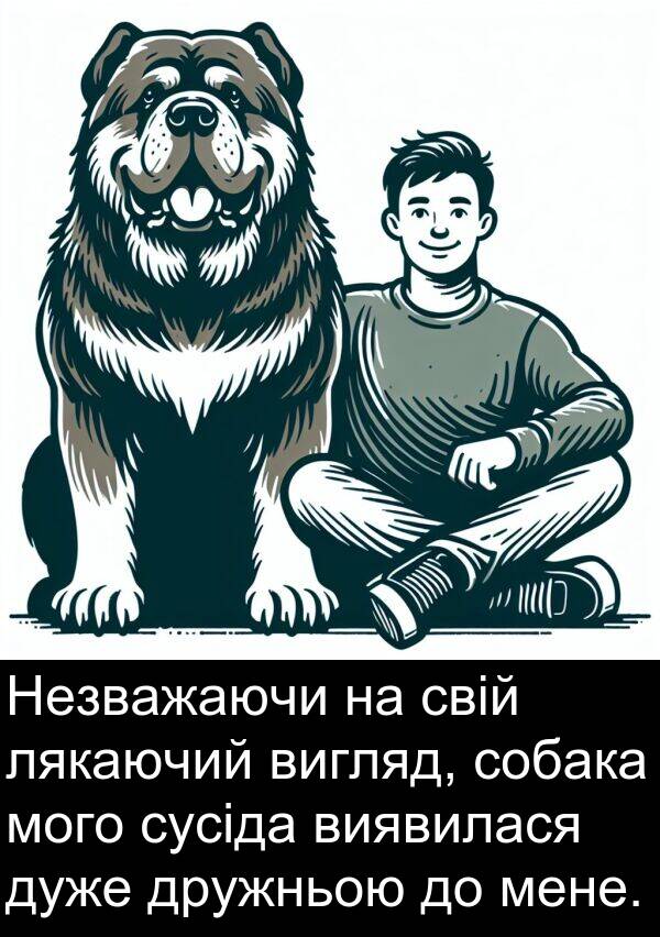 мого: Незважаючи на свій лякаючий вигляд, собака мого сусіда виявилася дуже дружньою до мене.