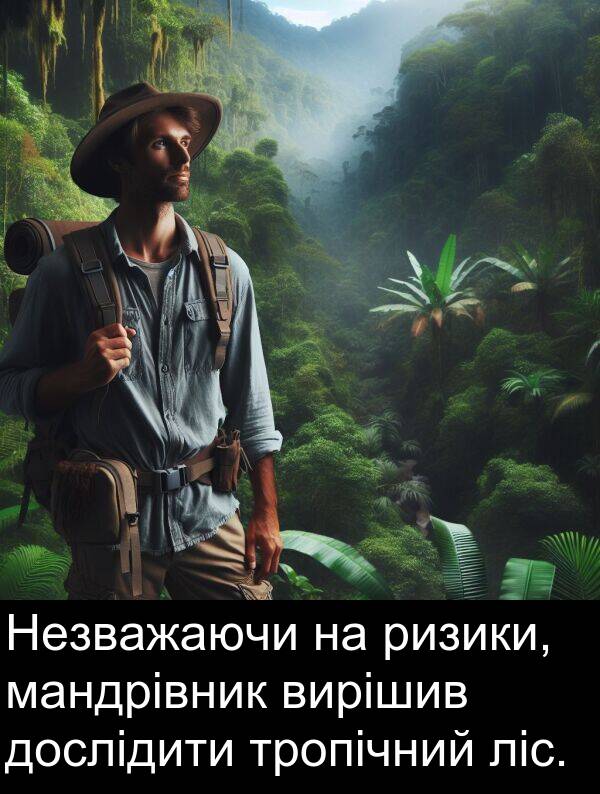 ліс: Незважаючи на ризики, мандрівник вирішив дослідити тропічний ліс.