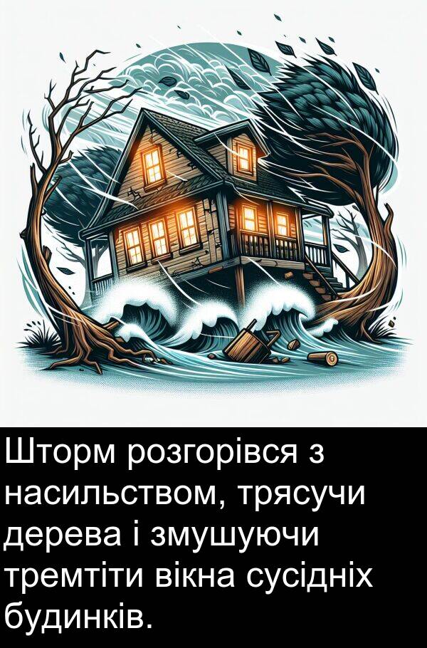 вікна: Шторм розгорівся з насильством, трясучи дерева і змушуючи тремтіти вікна сусідніх будинків.
