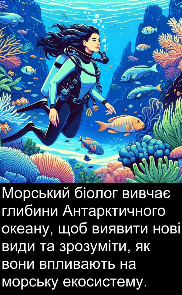 біолог: Морський біолог вивчає глибини Антарктичного океану, щоб виявити нові види та зрозуміти, як вони впливають на морську екосистему.