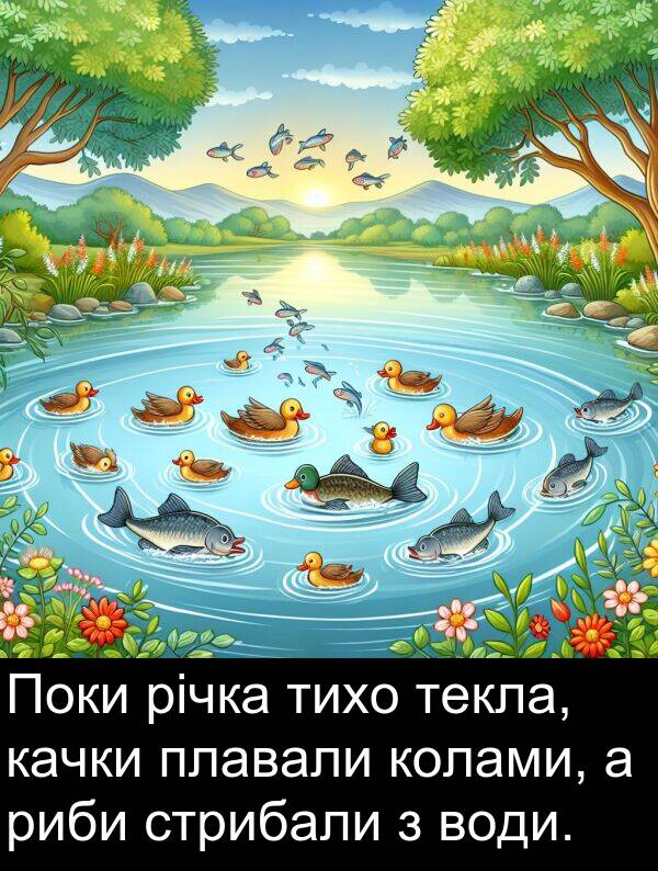 тихо: Поки річка тихо текла, качки плавали колами, а риби стрибали з води.