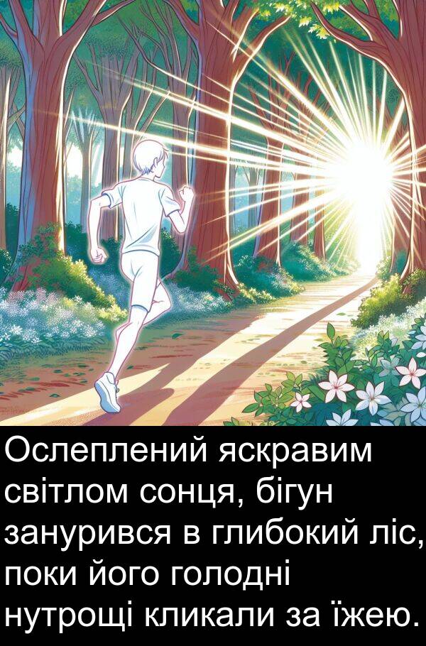 світлом: Ослеплений яскравим світлом сонця, бігун занурився в глибокий ліс, поки його голодні нутрощі кликали за їжею.