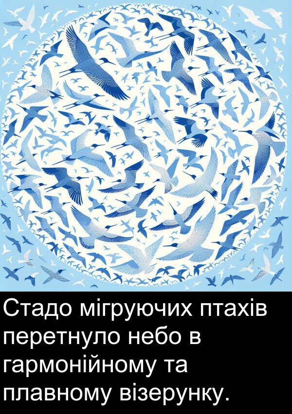 візерунку: Стадо мігруючих птахів перетнуло небо в гармонійному та плавному візерунку.
