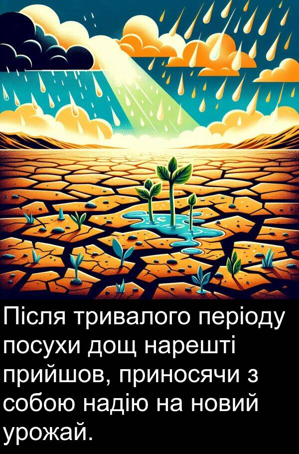 урожай: Після тривалого періоду посухи дощ нарешті прийшов, приносячи з собою надію на новий урожай.