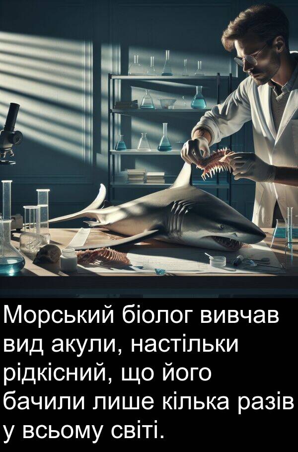 бачили: Морський біолог вивчав вид акули, настільки рідкісний, що його бачили лише кілька разів у всьому світі.