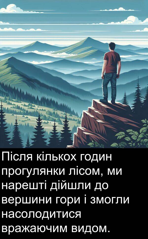 кількох: Після кількох годин прогулянки лісом, ми нарешті дійшли до вершини гори і змогли насолодитися вражаючим видом.