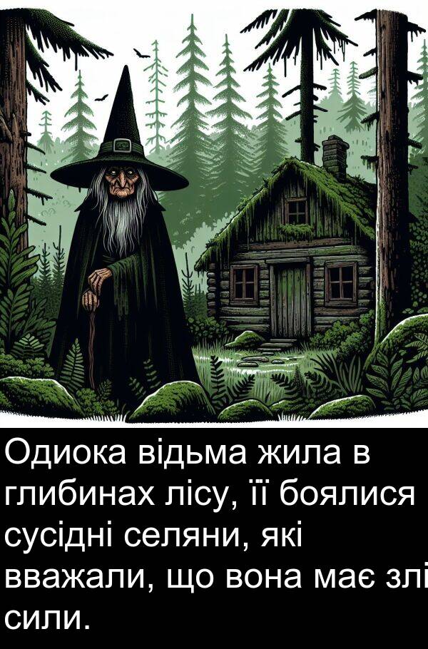 селяни: Одиока відьма жила в глибинах лісу, її боялися сусідні селяни, які вважали, що вона має злі сили.