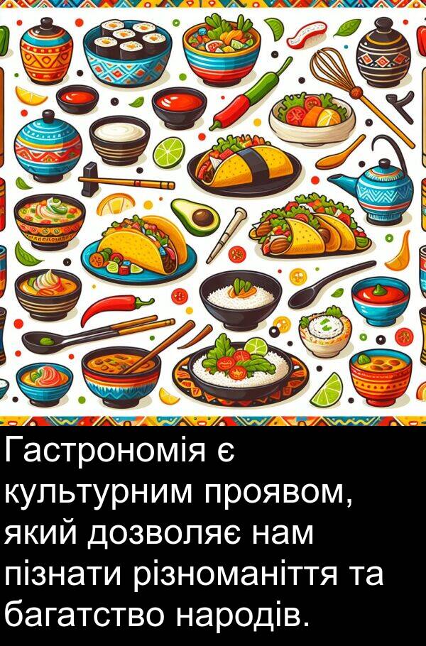багатство: Гастрономія є культурним проявом, який дозволяє нам пізнати різноманіття та багатство народів.
