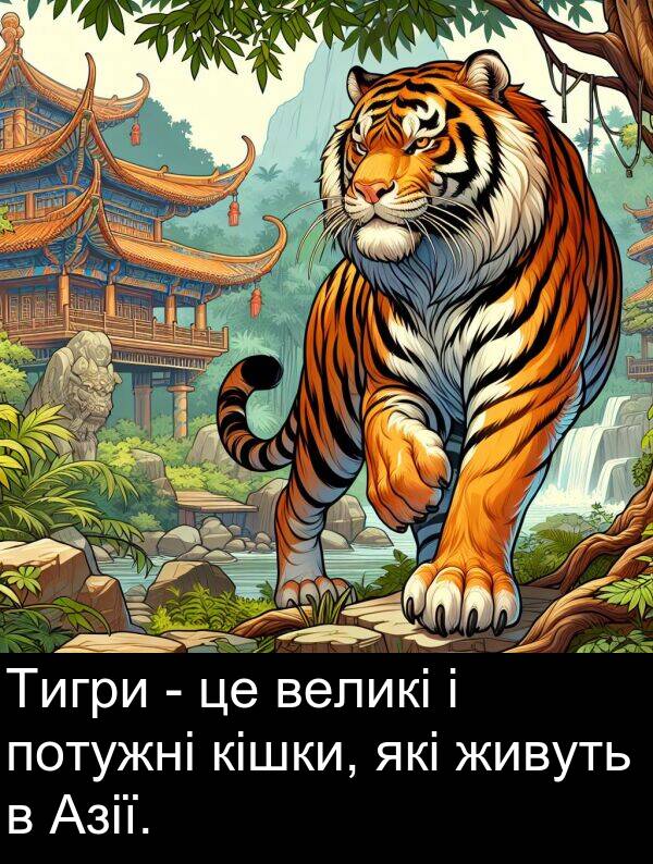 великі: Тигри - це великі і потужні кішки, які живуть в Азії.