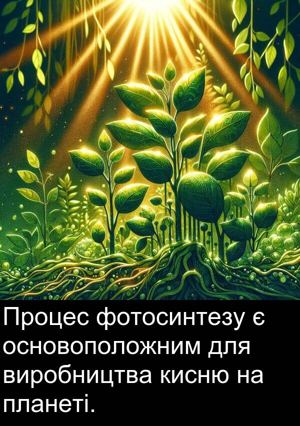 фотосинтезу: Процес фотосинтезу є основоположним для виробництва кисню на планеті.