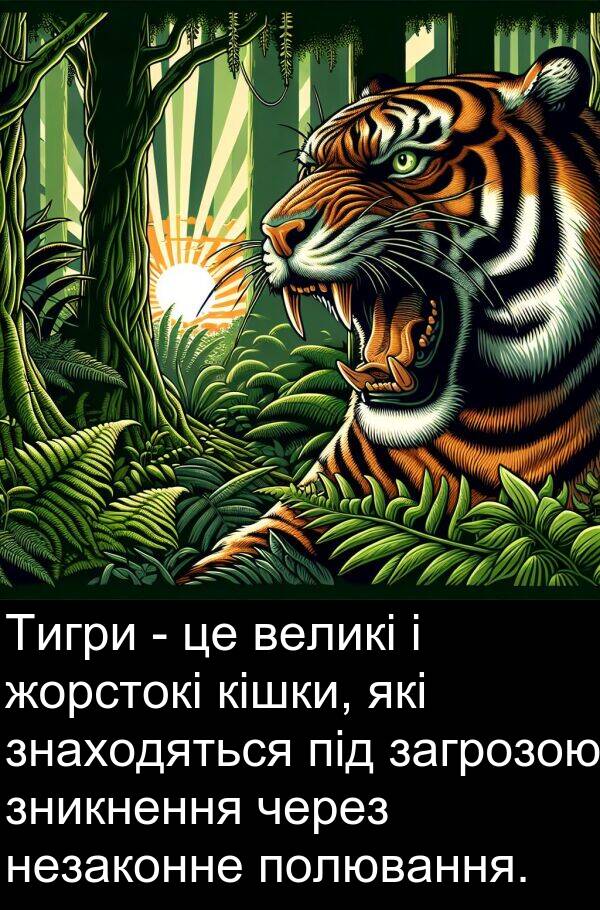 великі: Тигри - це великі і жорстокі кішки, які знаходяться під загрозою зникнення через незаконне полювання.