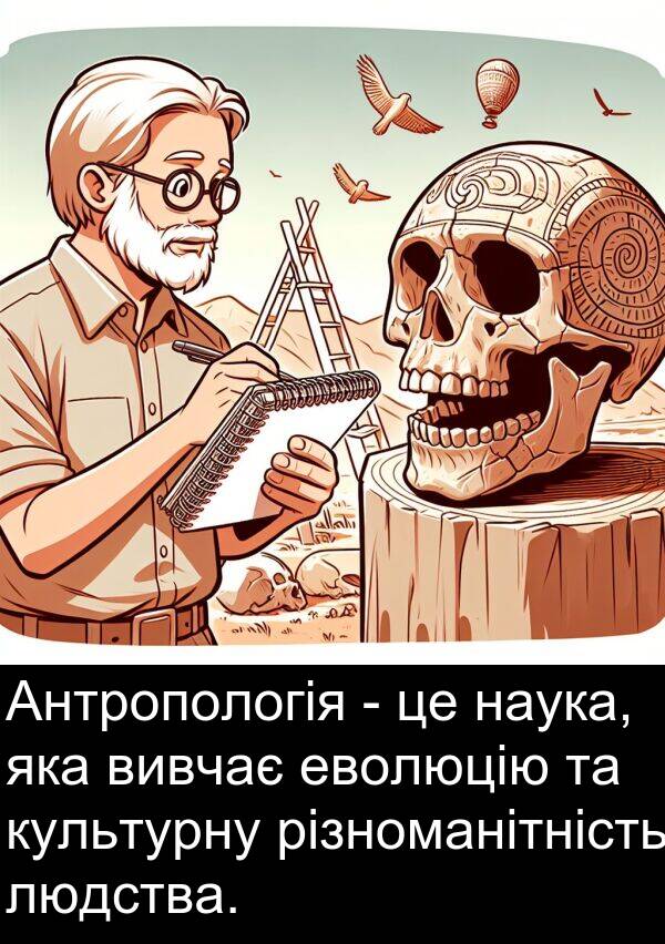 різноманітність: Антропологія - це наука, яка вивчає еволюцію та культурну різноманітність людства.