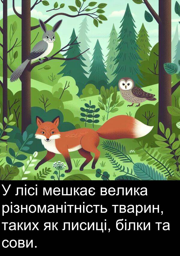 велика: У лісі мешкає велика різноманітність тварин, таких як лисиці, білки та сови.