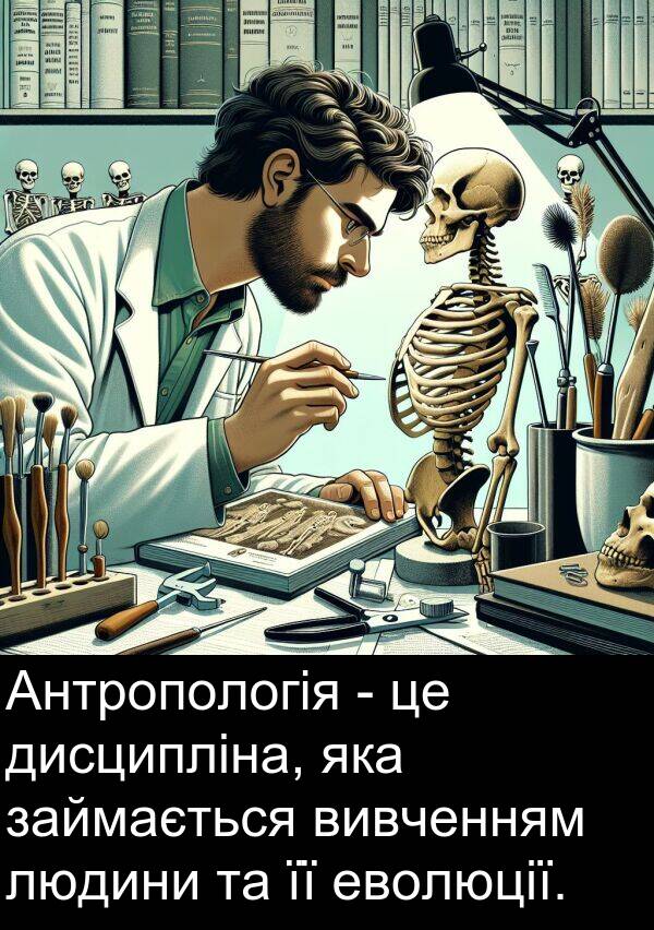 людини: Антропологія - це дисципліна, яка займається вивченням людини та її еволюції.