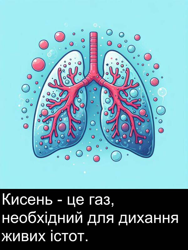 газ: Кисень - це газ, необхідний для дихання живих істот.
