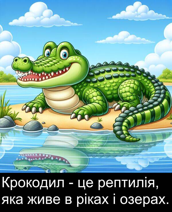 живе: Крокодил - це рептилія, яка живе в ріках і озерах.