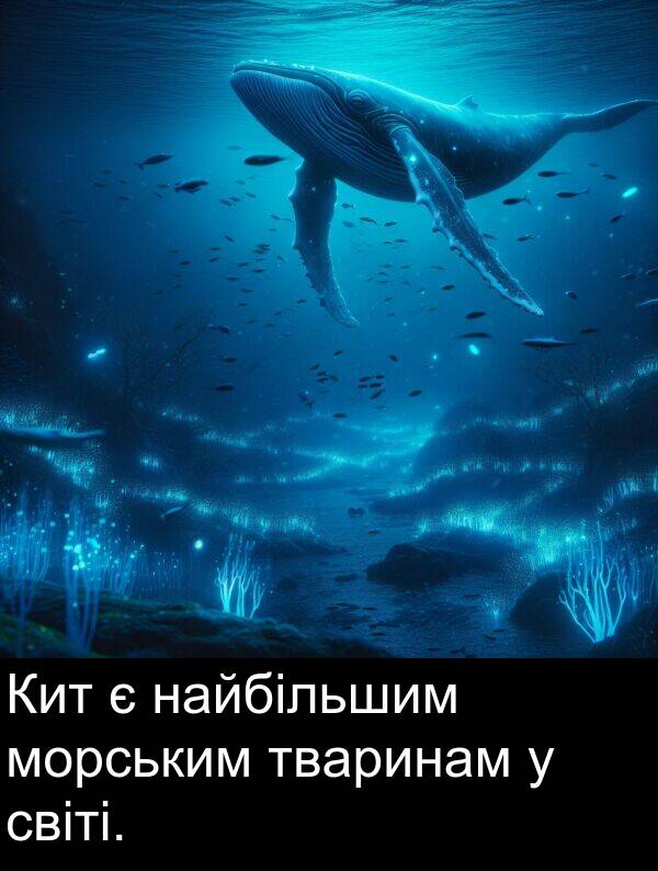найбільшим: Кит є найбільшим морським тваринам у світі.