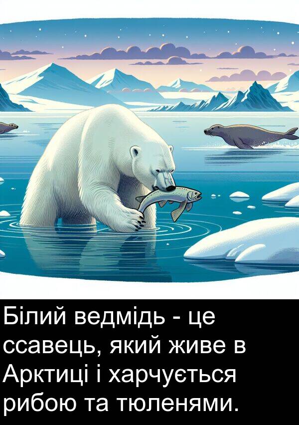 живе: Білий ведмідь - це ссавець, який живе в Арктиці і харчується рибою та тюленями.