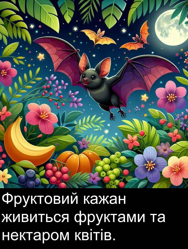 живиться: Фруктовий кажан живиться фруктами та нектаром квітів.