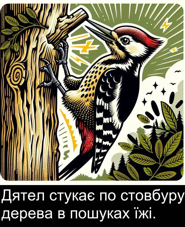 їжі: Дятел стукає по стовбуру дерева в пошуках їжі.