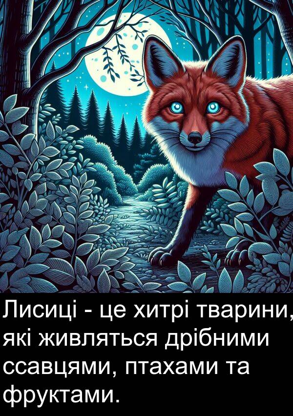 живляться: Лисиці - це хитрі тварини, які живляться дрібними ссавцями, птахами та фруктами.