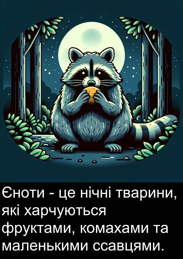 маленькими: Єноти - це нічні тварини, які харчуються фруктами, комахами та маленькими ссавцями.