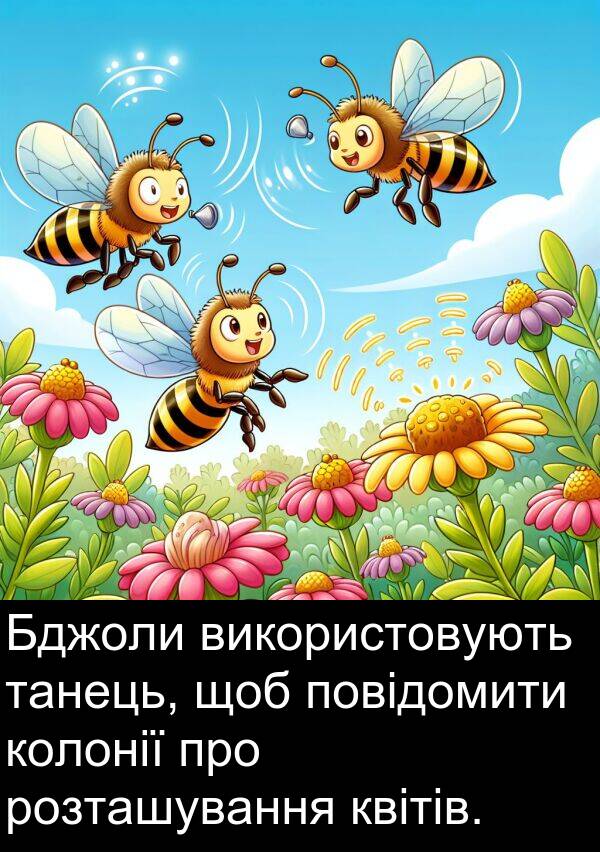 квітів: Бджоли використовують танець, щоб повідомити колонії про розташування квітів.