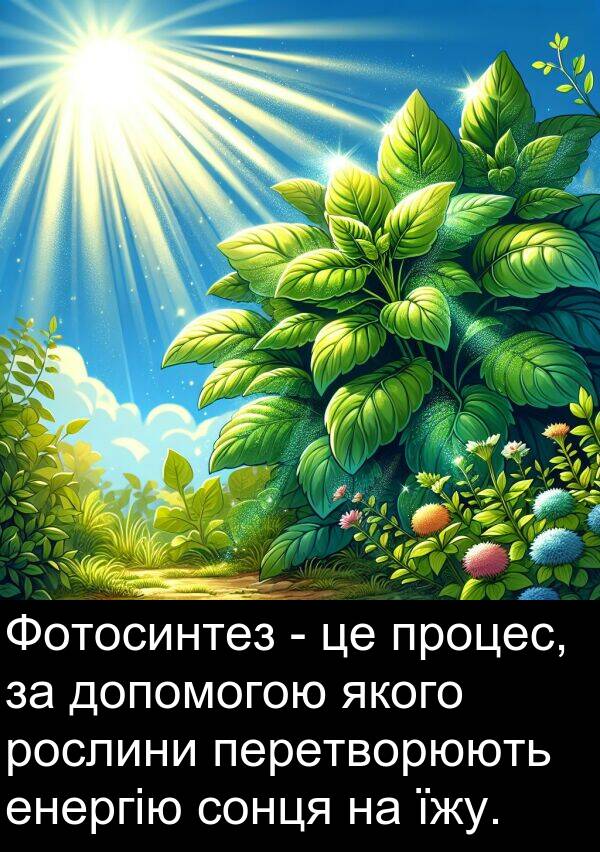 їжу: Фотосинтез - це процес, за допомогою якого рослини перетворюють енергію сонця на їжу.