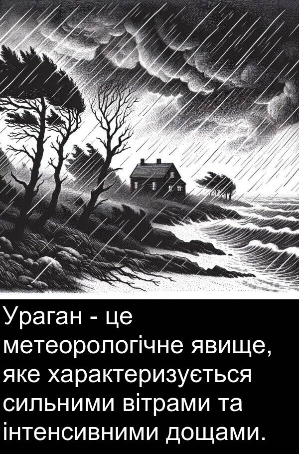 сильними: Ураган - це метеорологічне явище, яке характеризується сильними вітрами та інтенсивними дощами.